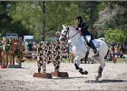 Pferd International 058